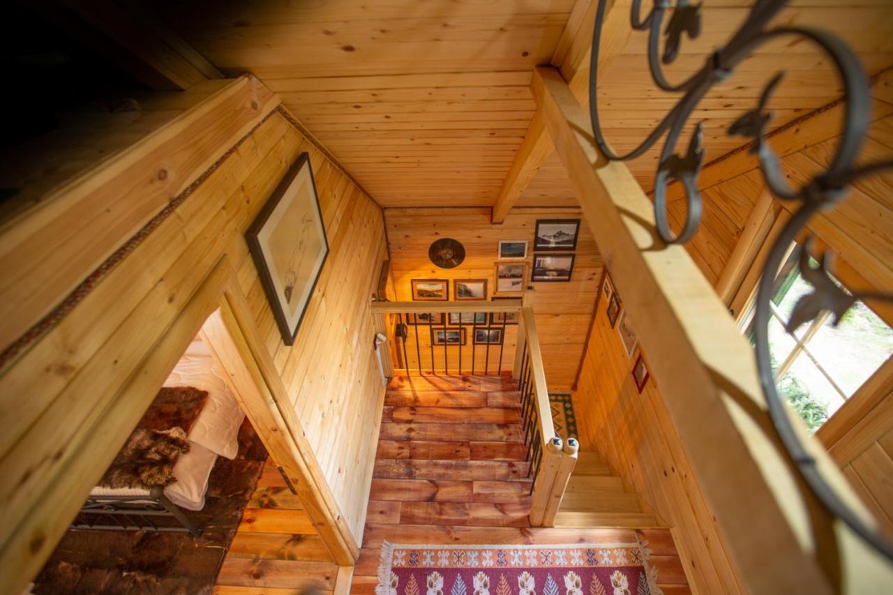 Villa Piccolo Orso Žabljak Buitenkant foto